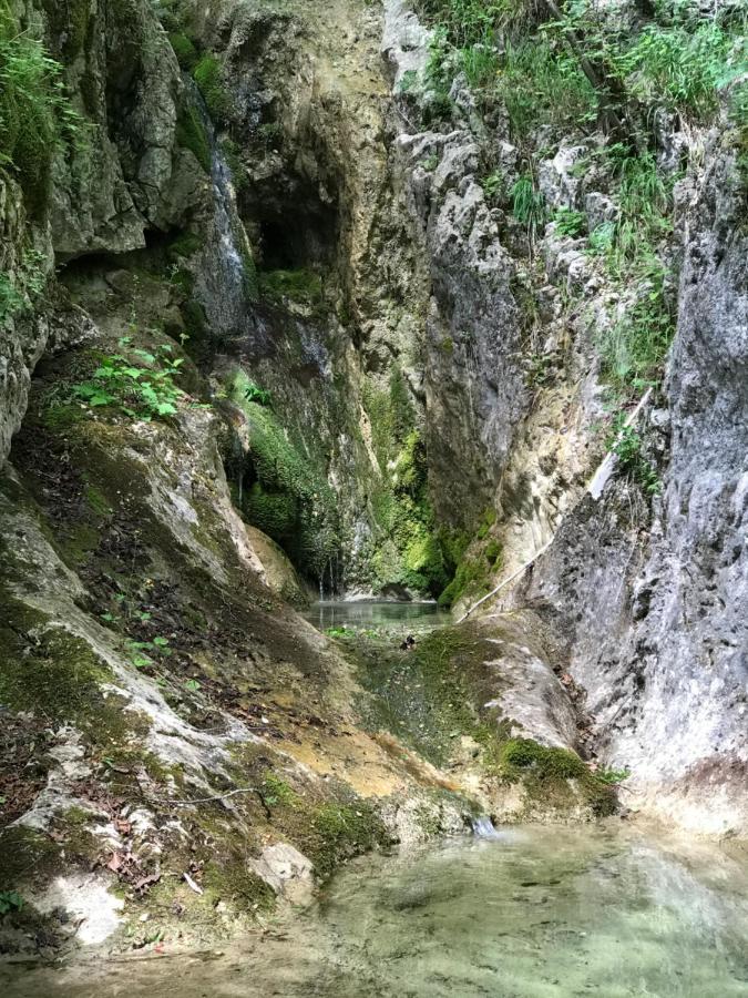 Savnik Mountain Cottage Komarnica מראה חיצוני תמונה